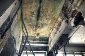 Best HVAC Mold Inspection and Cleaning  in Blytheville, AR